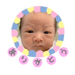 [LINEスタンプ] ましろ日常スタンプ1