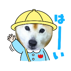 [LINEスタンプ] 柴犬まある