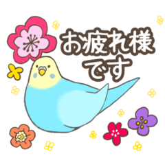 [LINEスタンプ] インコのごあいさつ