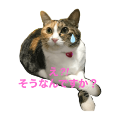 [LINEスタンプ] 猫のお姫様 ありす