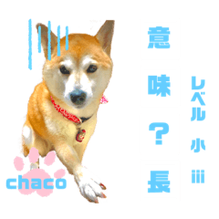 [LINEスタンプ] 四字熟語のお勉強 レベル小 ⅲ
