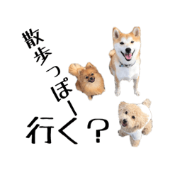 [LINEスタンプ] ドックパートナーズ