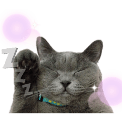 [LINEスタンプ] ビッキーちゃん スタンプ