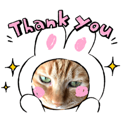 [LINEスタンプ] スタンプになって働くニャン
