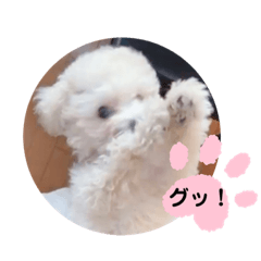 [LINEスタンプ] かねねんのうめ吉くん③