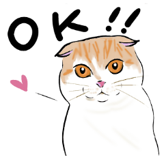 [LINEスタンプ] いろんな種類の猫たち