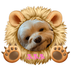 [LINEスタンプ] わんにゃんずー
