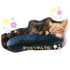 [LINEスタンプ] みんばとゆかいな仲間たち♪