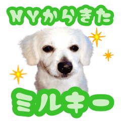 [LINEスタンプ] ニューヨークから来たミルキー