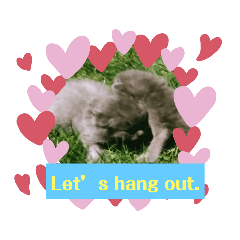 [LINEスタンプ] 英語バージョン猫で日常フレーズ