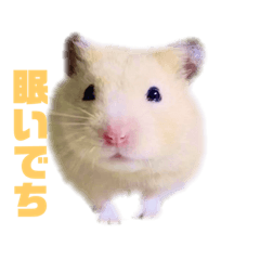 [LINEスタンプ] 松本和也
