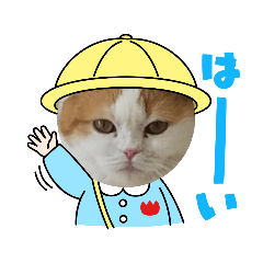 [LINEスタンプ] 猫 ゆめちゃん