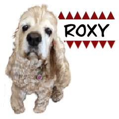 [LINEスタンプ] アメリカンコッカースパニエルのROXY