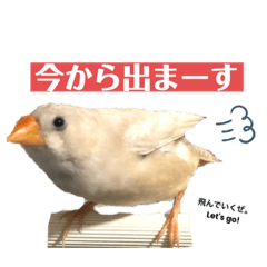 [LINEスタンプ] おもちと銀次郎2
