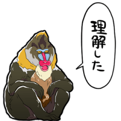 [LINEスタンプ] しゃべるマンドリル