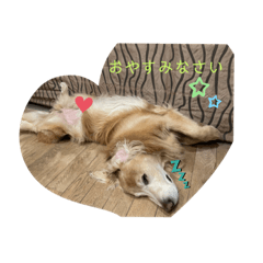 [LINEスタンプ] ASLANスタンプ