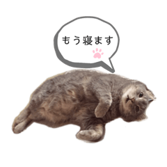 [LINEスタンプ] 我が家のじげもん