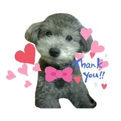 [LINEスタンプ] みんなにありがとうスタンプ