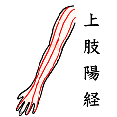 [LINEスタンプ] 鍼灸師用！上肢陽経ツボ