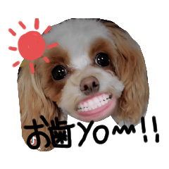 [LINEスタンプ] milk0517