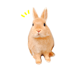 [LINEスタンプ] むぎぞーのすたんぷ。
