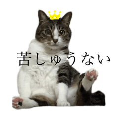 [LINEスタンプ] キジ白さんの日常2