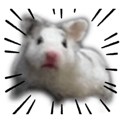 [LINEスタンプ] タラちゃんの日常