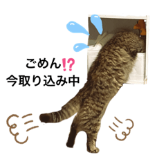 [LINEスタンプ] ぷーっ。ちゃん