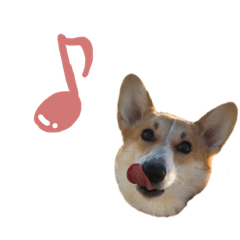 [LINEスタンプ] 今日のココちゃん 3
