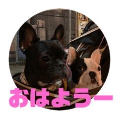 [LINEスタンプ] 梅子と桜木