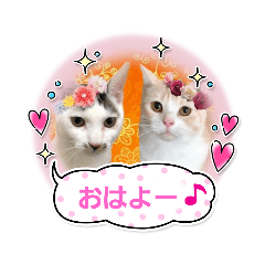 [LINEスタンプ] クッキーファミリーの初めてのスタンプ