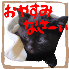 [LINEスタンプ] 黒猫ココの正方形スタンプ