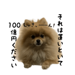 [LINEスタンプ] ポメラニアンおむぎ2