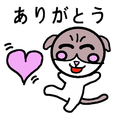 [LINEスタンプ] スコティッシュフォールドのハルさんの日常