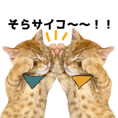 [LINEスタンプ] ウチのそら