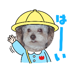 [LINEスタンプ] キュートな犬スタンプ♫