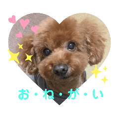 [LINEスタンプ] 茶娘ショコラの日常