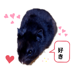[LINEスタンプ] クロン♥️スタンプ3