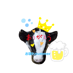 [LINEスタンプ] cowcow0008