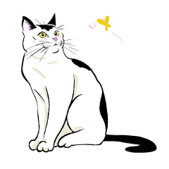 [LINEスタンプ] いろんな種類の猫たち 2