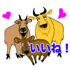 [LINEスタンプ] ゴールデンターキン LOVE