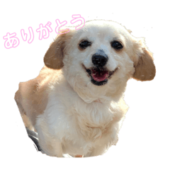 [LINEスタンプ] ラッキー＆ジャック