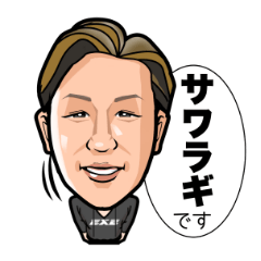 [LINEスタンプ] EXE サワラギの画像（メイン）