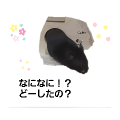 [LINEスタンプ] クロン♥️スタンプ4