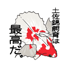 [LINEスタンプ] 金魚スタンプ3