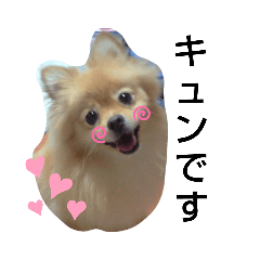 [LINEスタンプ] ポメラニアンみるくの日常会話4