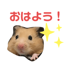 [LINEスタンプ] チャッキちゃんスタンプ 2！