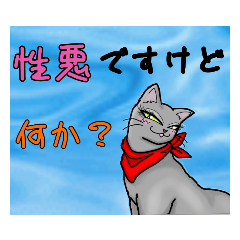 [LINEスタンプ] 性悪猫momoっちリターンズ