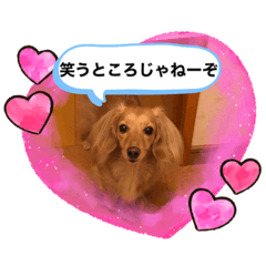 [LINEスタンプ] ズッコンバッコンズッコンバッコンズッコンの画像（メイン）