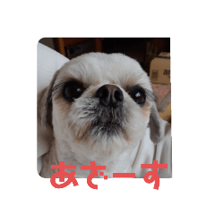[LINEスタンプ] やさぐれぷーすけ